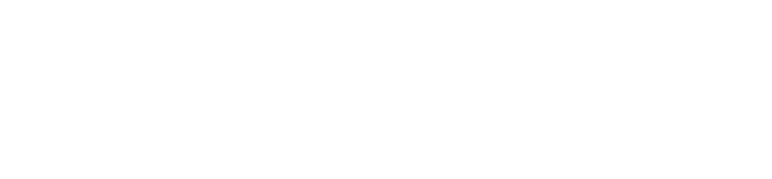 Pivot Shipping International